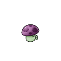 小喷菇