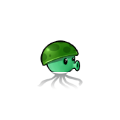 水兵菇